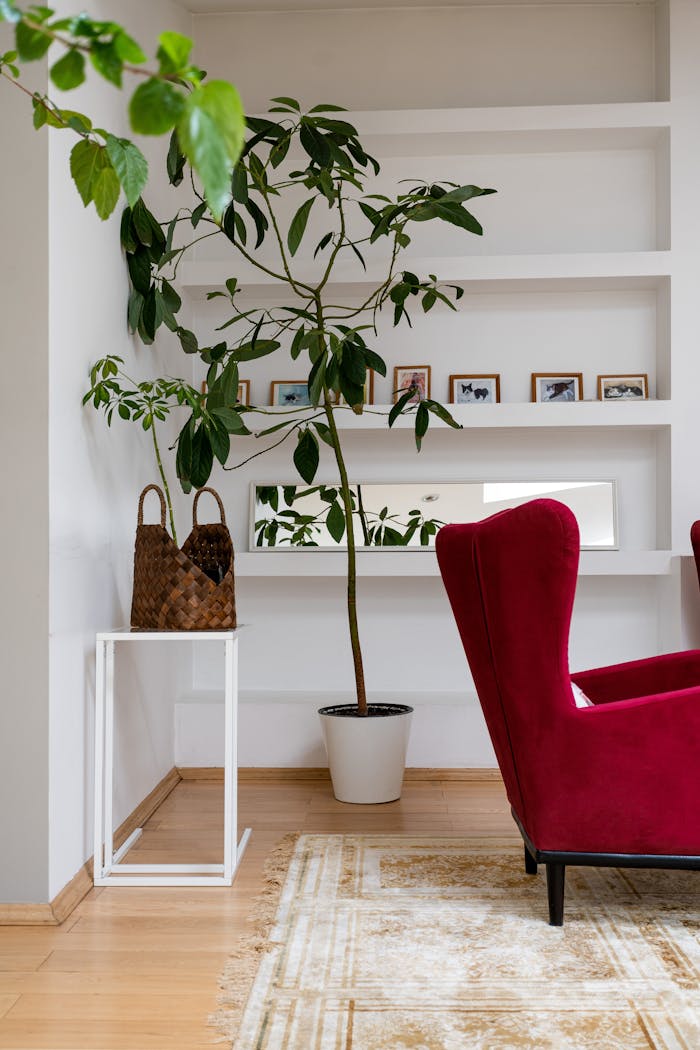 our-journey-03 Stylish living room featuring a red armchair, houseplant, and minimalist decor on white shelves.